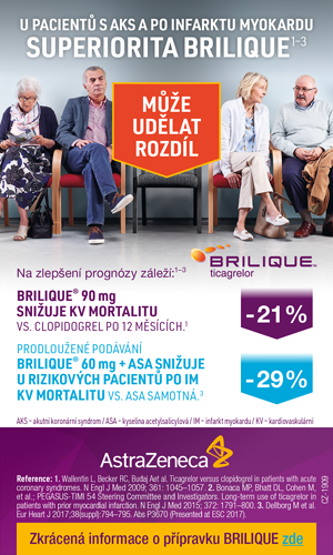 Brilique_banner_300x500_27-11.png