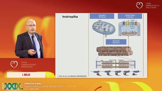 video: OMECAMTIV MECARBIL V TERAPII SRDENHO SELHN
